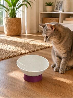 Cat Person Purple and Blue Pet Bowl